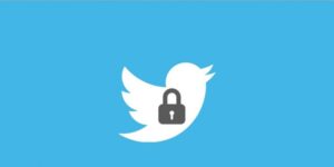 cómo ver cuentas privadas de twitter